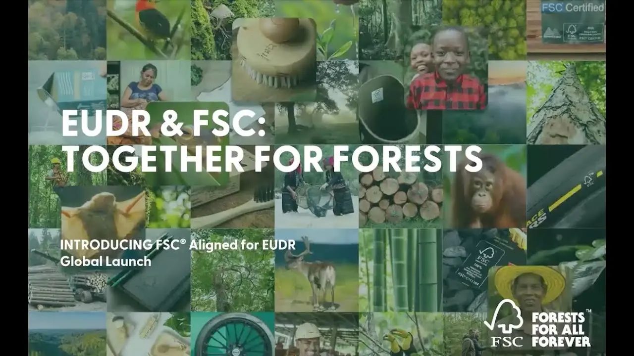 Introducing FSC Aligned for EUDR — global launch