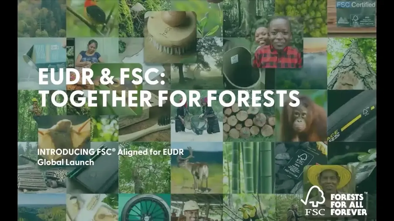 Introducing FSC Aligned for EUDR — global launch