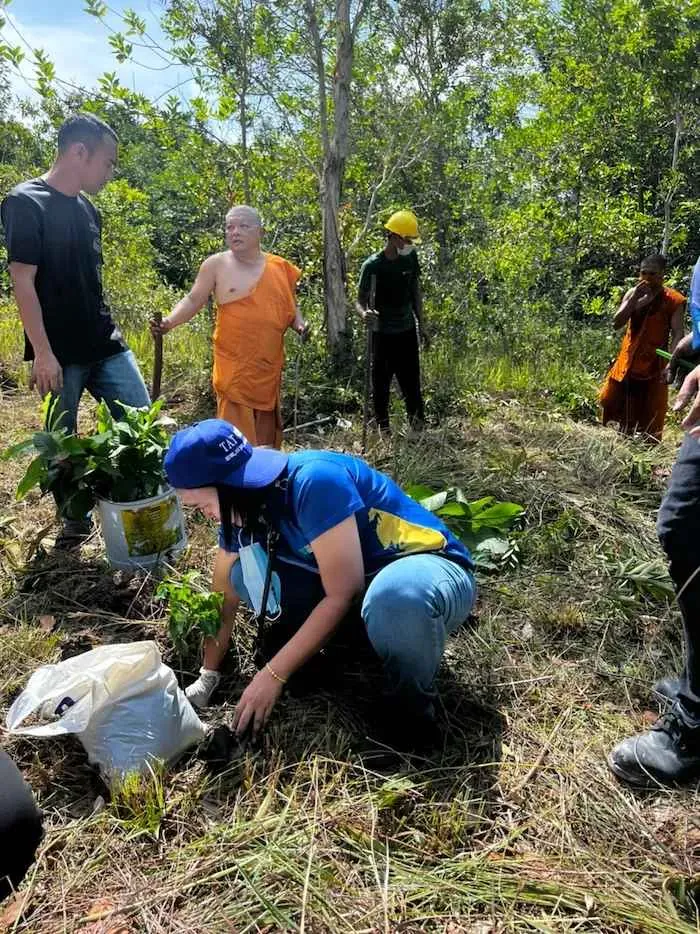 Tat Win volunteers planting trees on a hillside