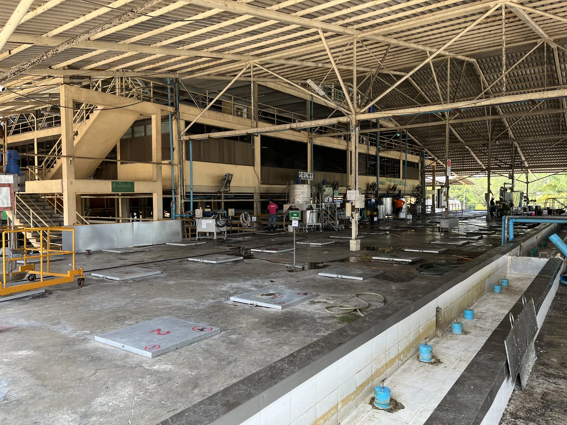 Wide view inside Tat Win's latex processing hall