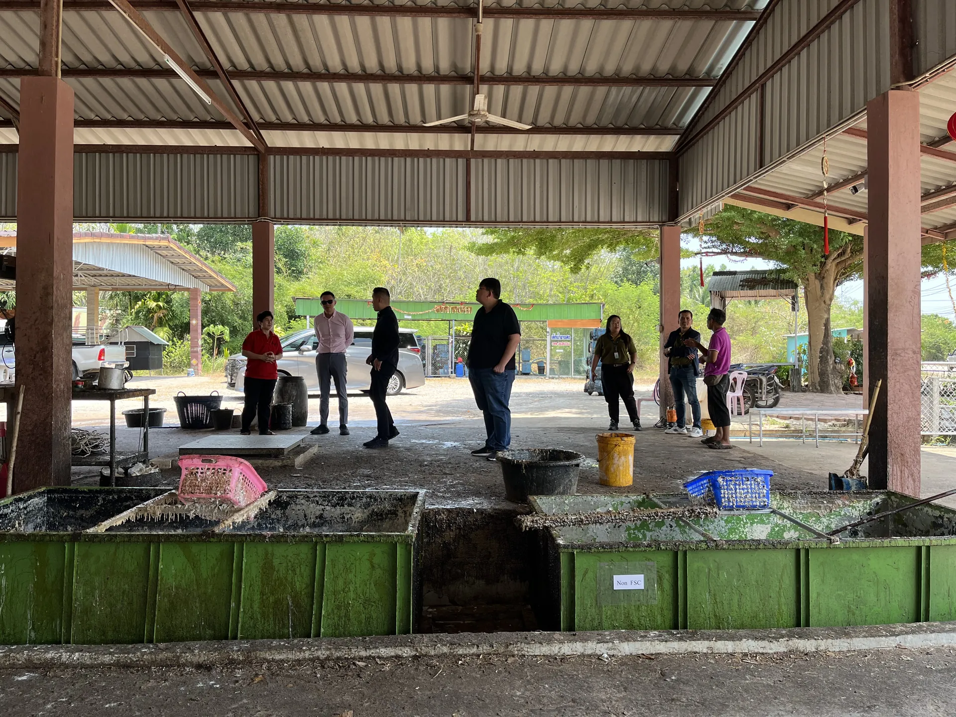 Site visit at a smallholder latex collection point with green troughs