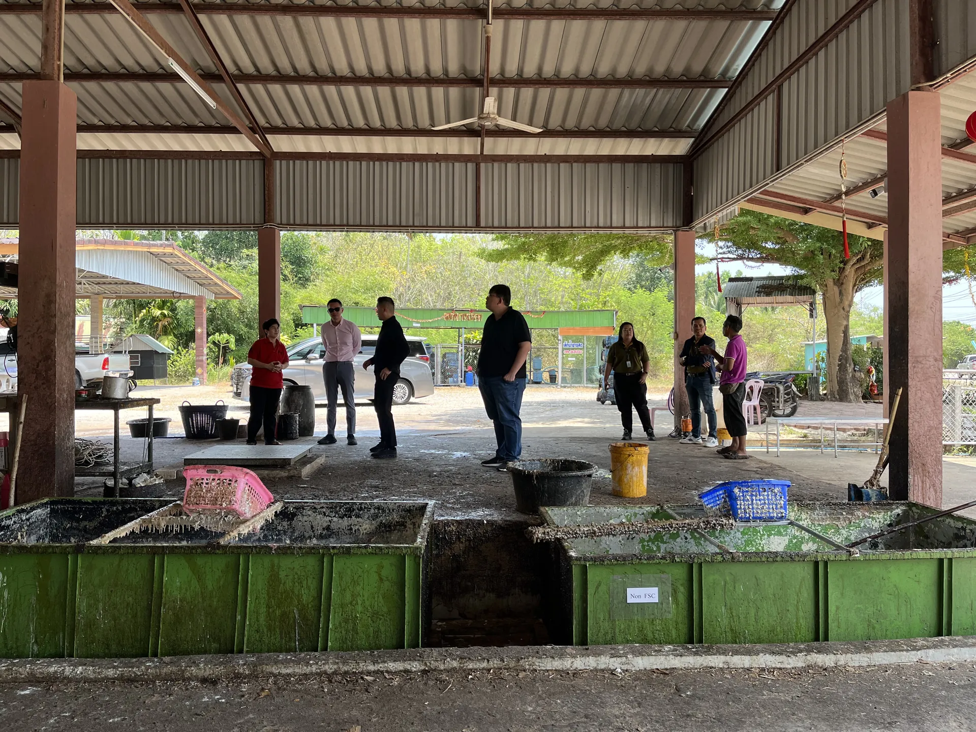 Visitors at a village latex collection point