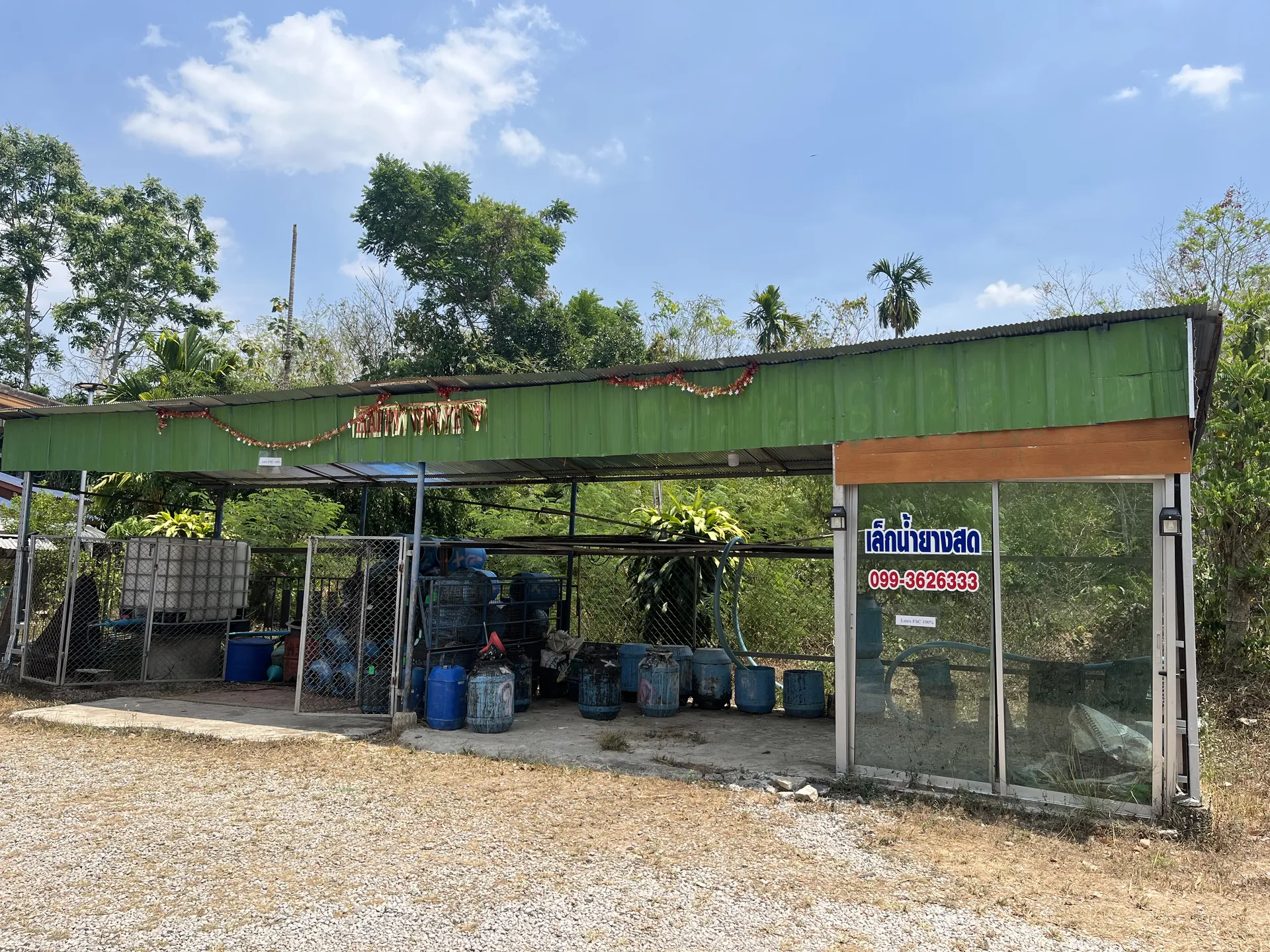 Roadside fresh latex buying shop with collection drums