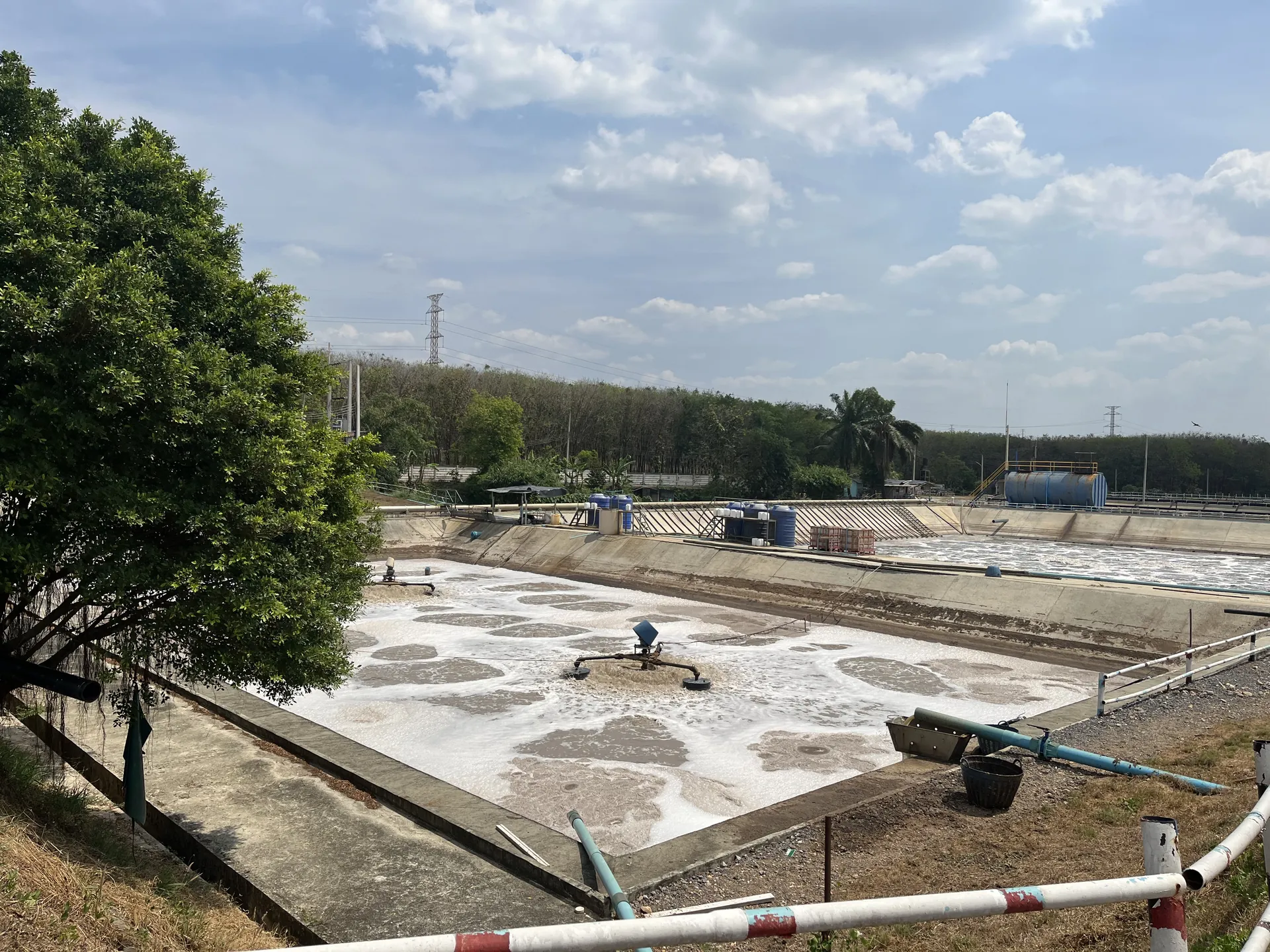 Aerated wastewater treatment ponds at the Tat Win plant with plantation behind
